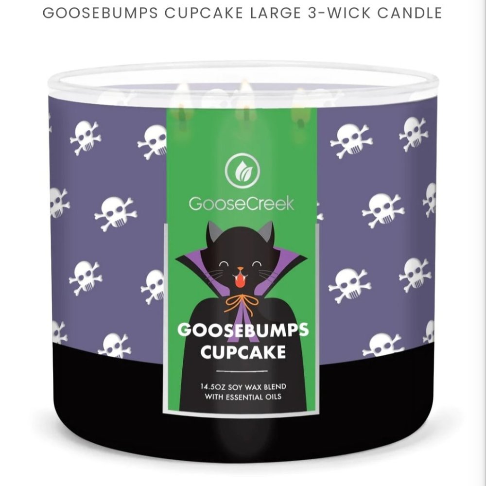 🎃Halloween Chocolate Lava Raspberry Cupcake Candle (3-Wick)